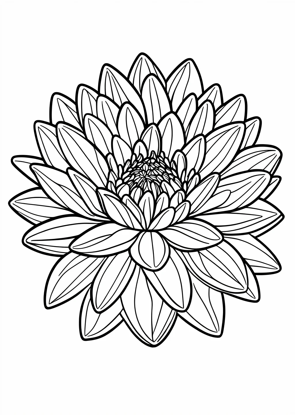 ダリアの塗り絵