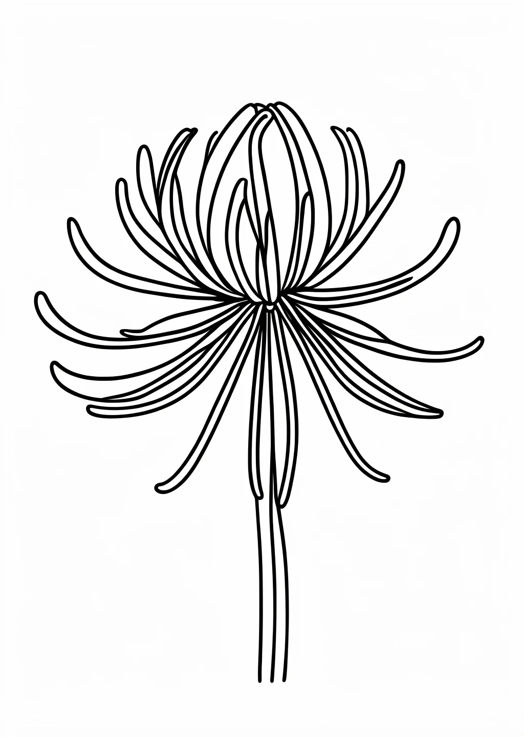 彼岸花の塗り絵