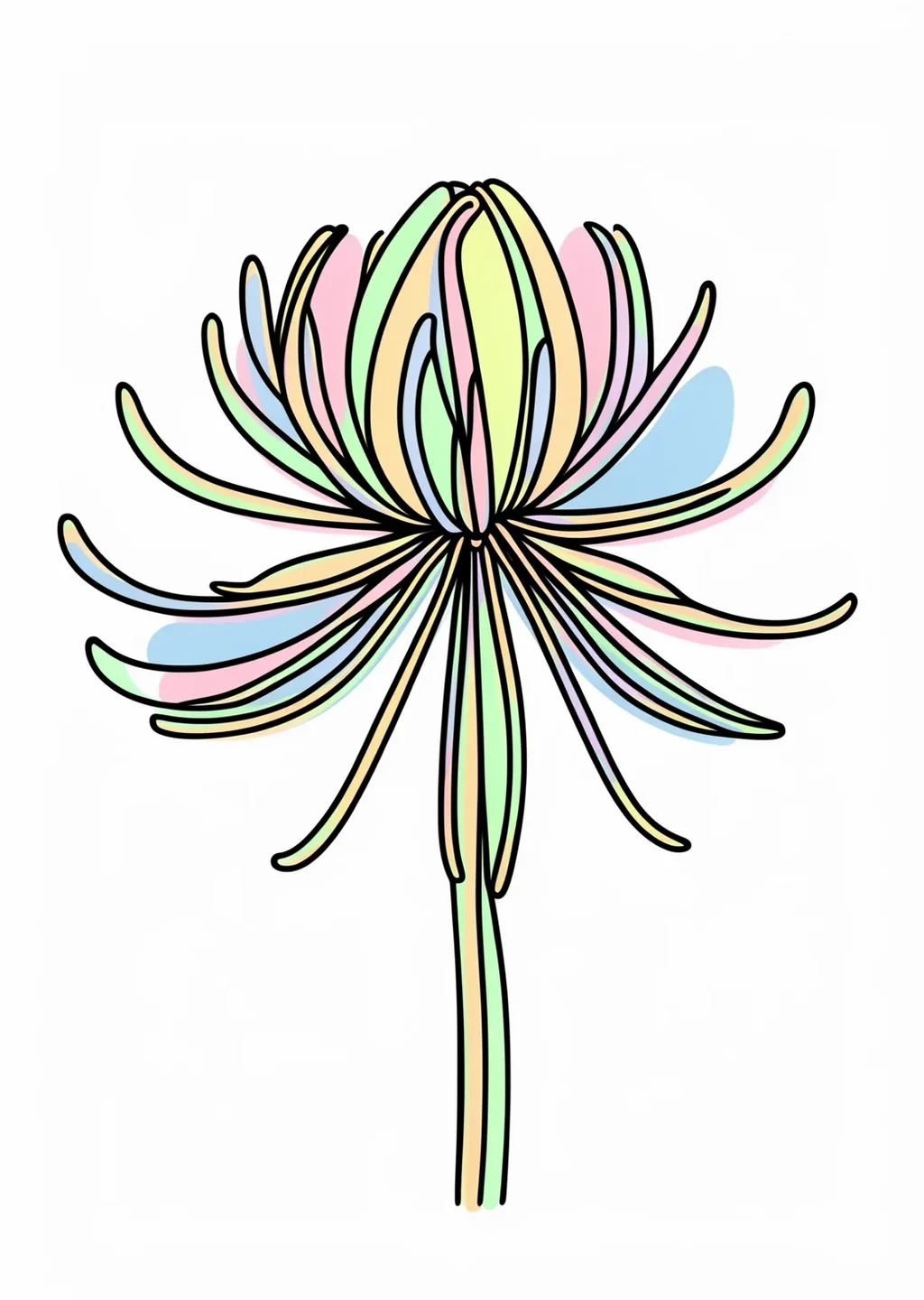 彼岸花の塗り絵の見本