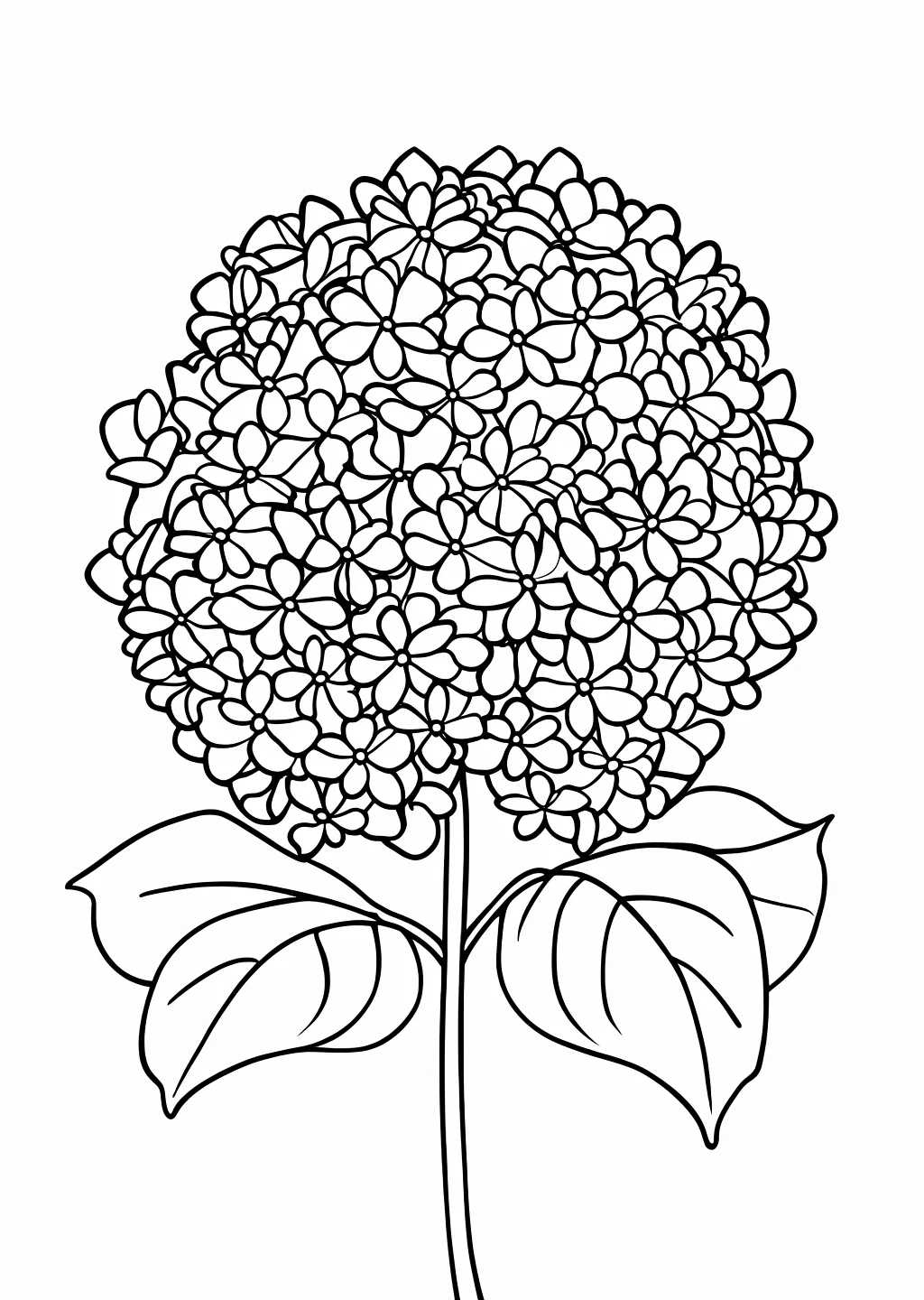 あじさいの塗り絵(簡単)