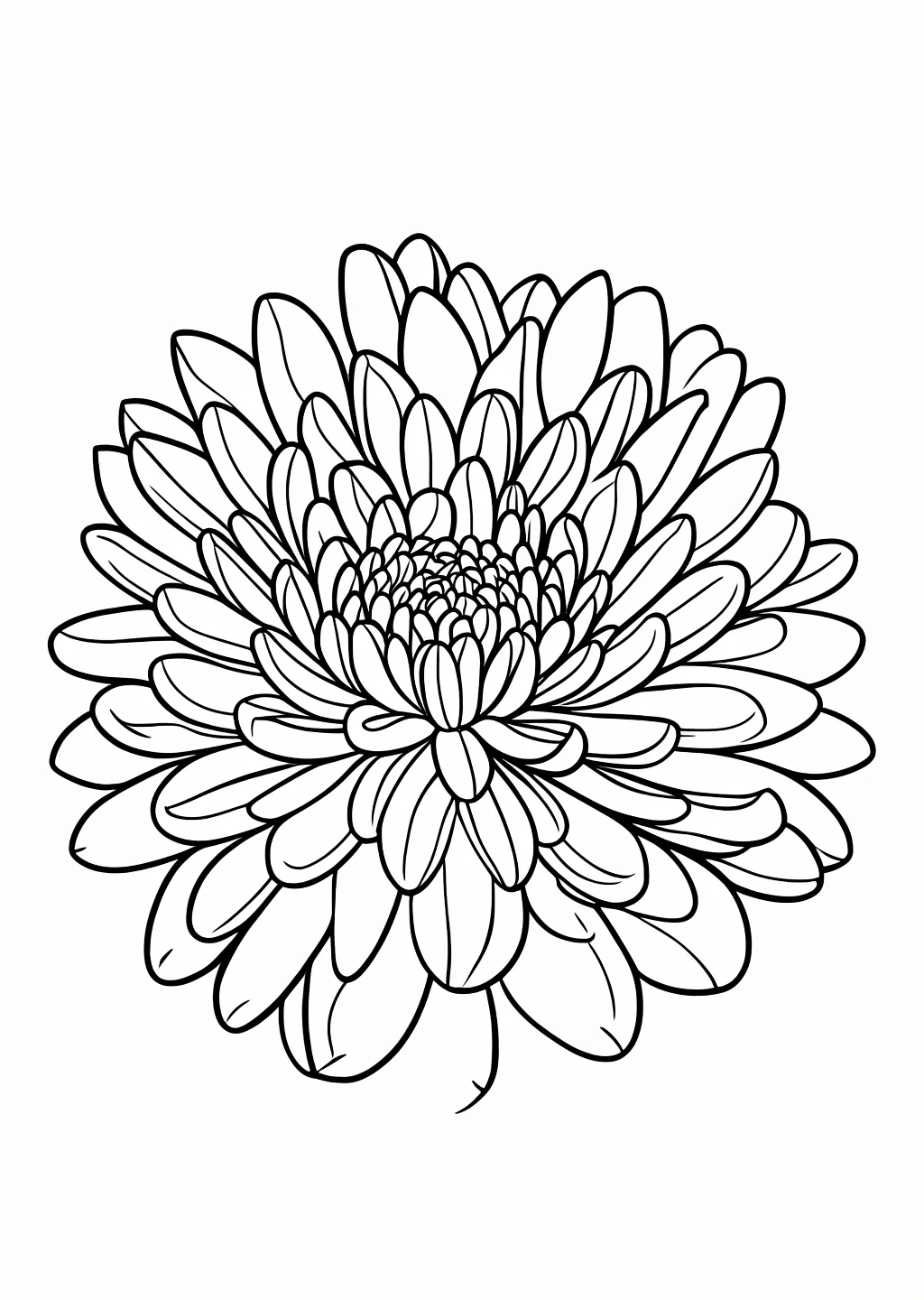 菊の塗り絵