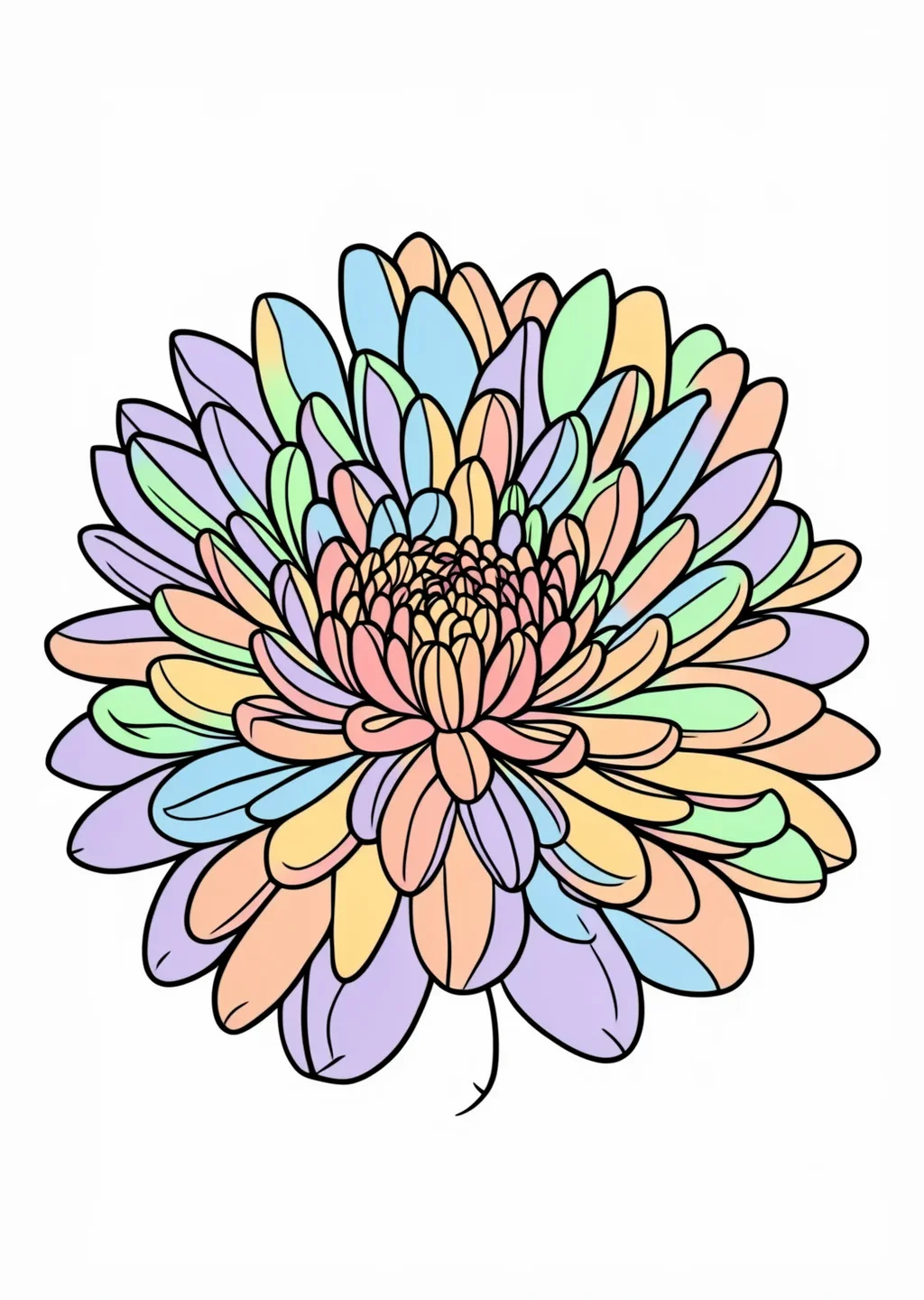 菊の塗り絵の見本