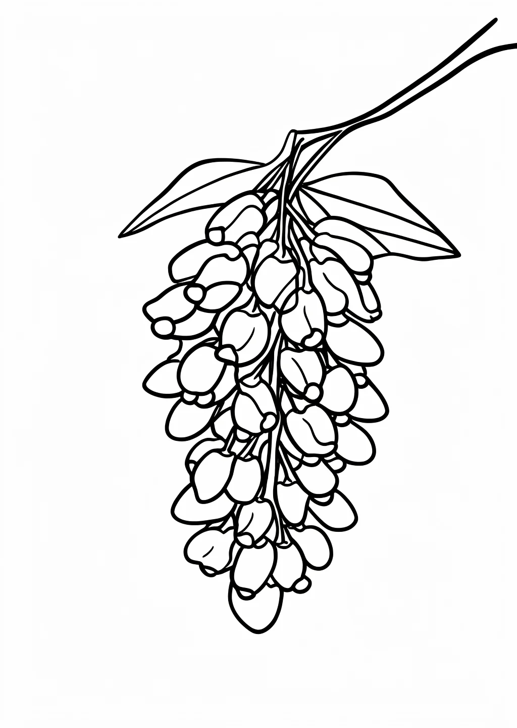 藤の花の塗り絵(高齢者向け・簡単)