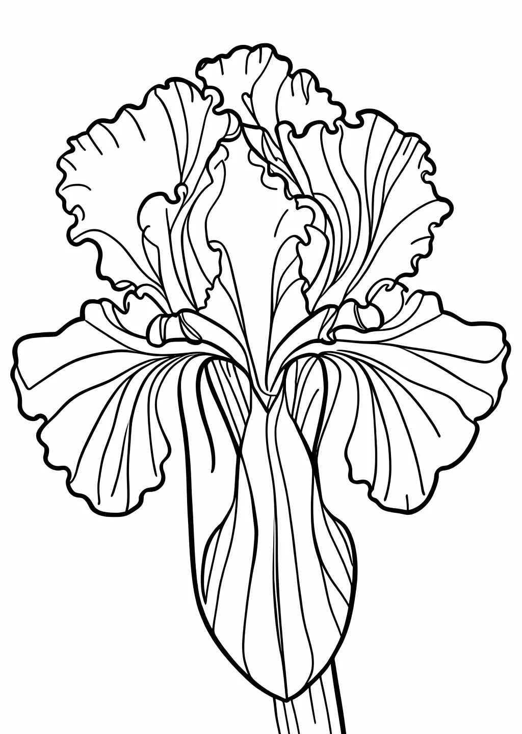花菖蒲の塗り絵