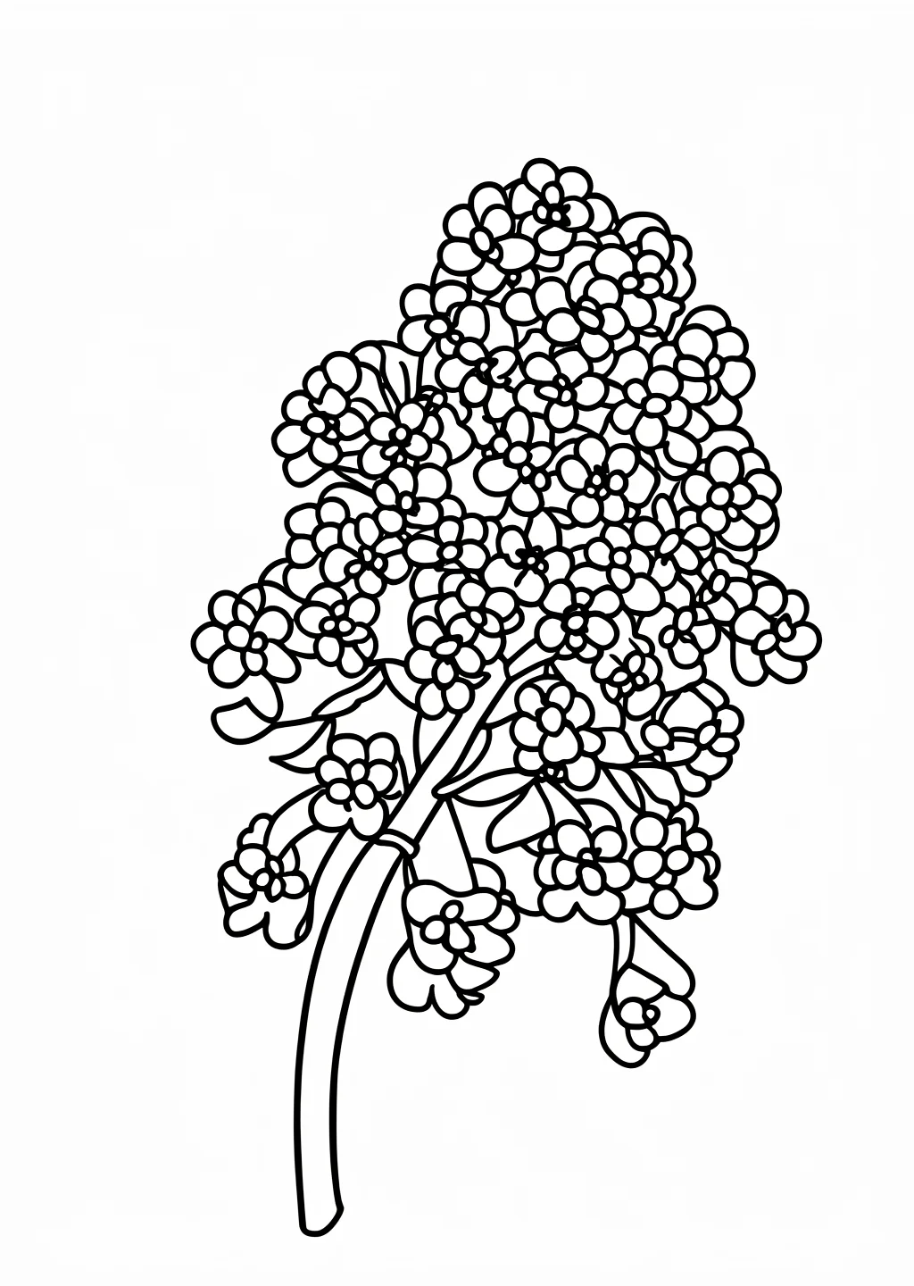 沈丁花の塗り絵