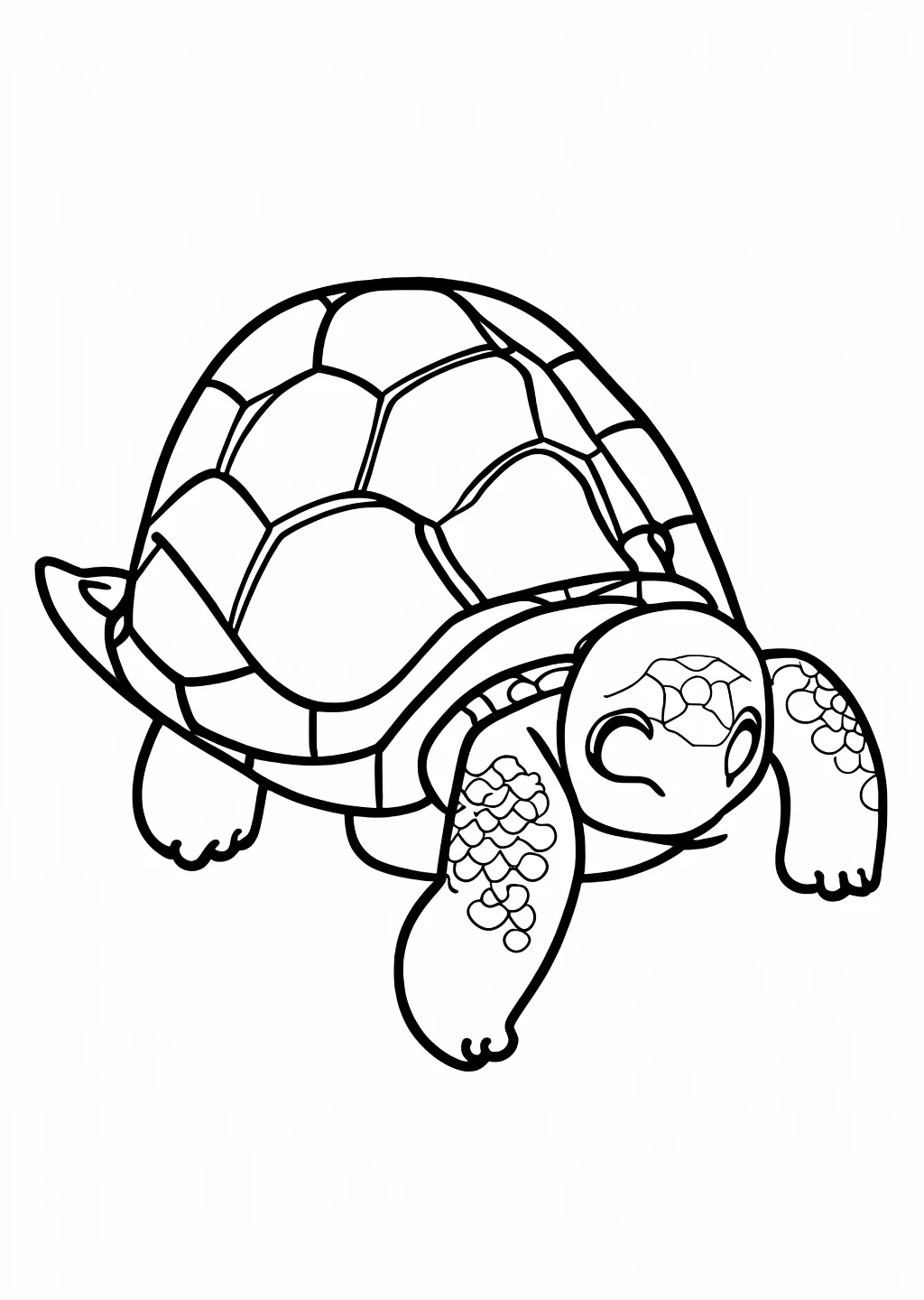 亀の塗り絵