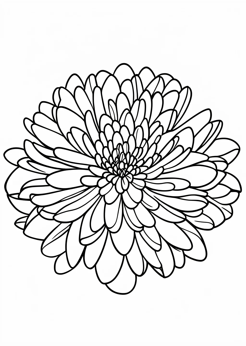 菊の塗り絵