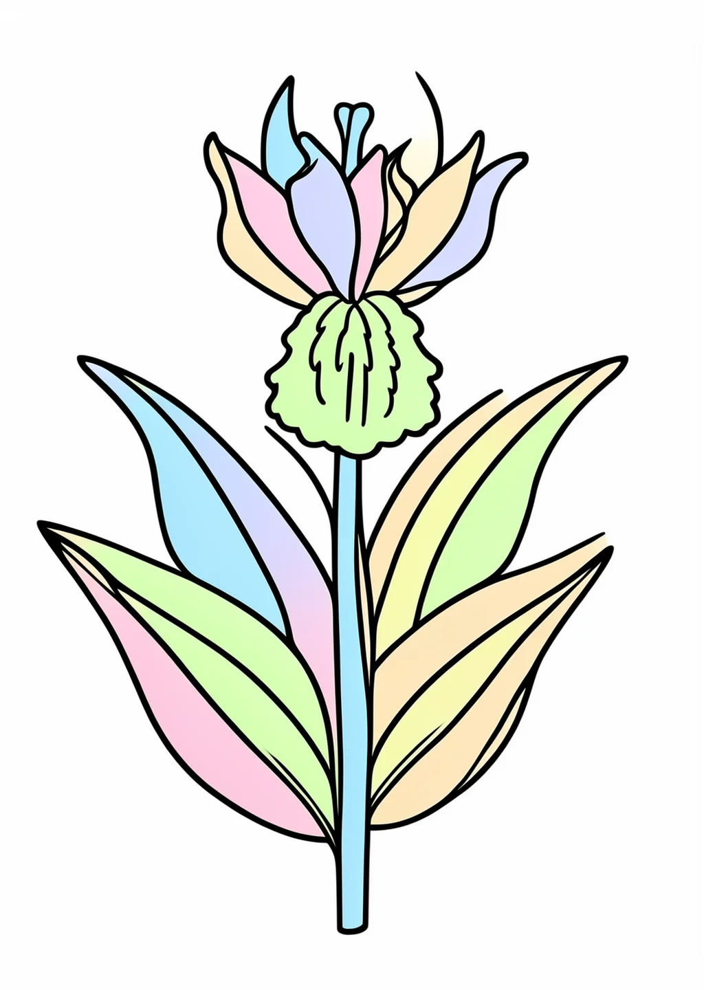 菖蒲の塗り絵の見本
