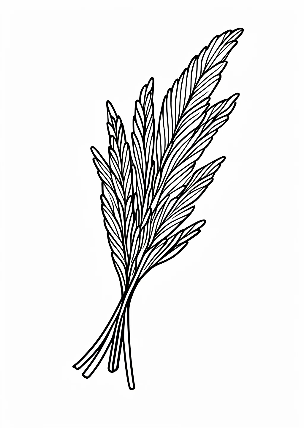 すすきの塗り絵