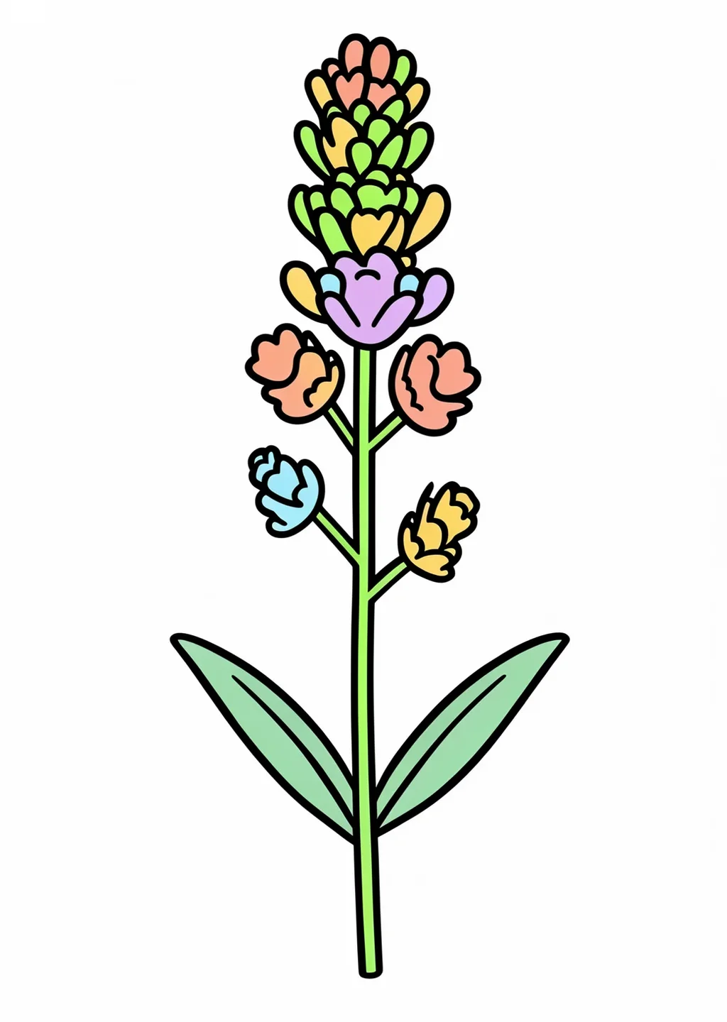 ラベンダーの塗り絵の見本
