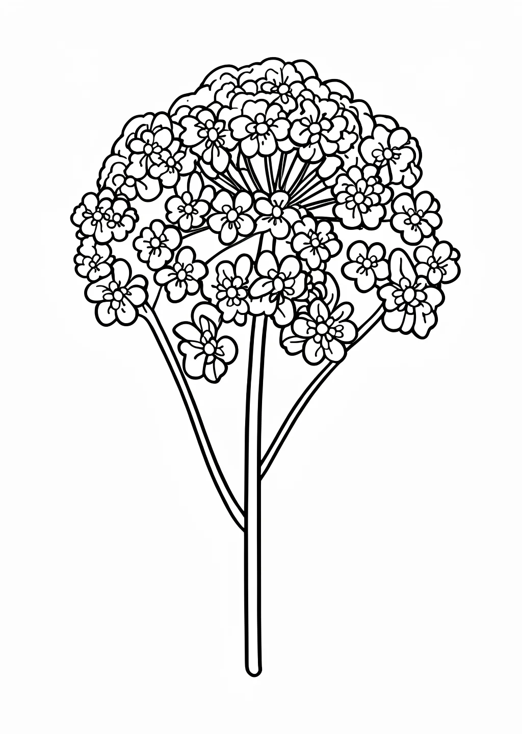 女郎花の塗り絵