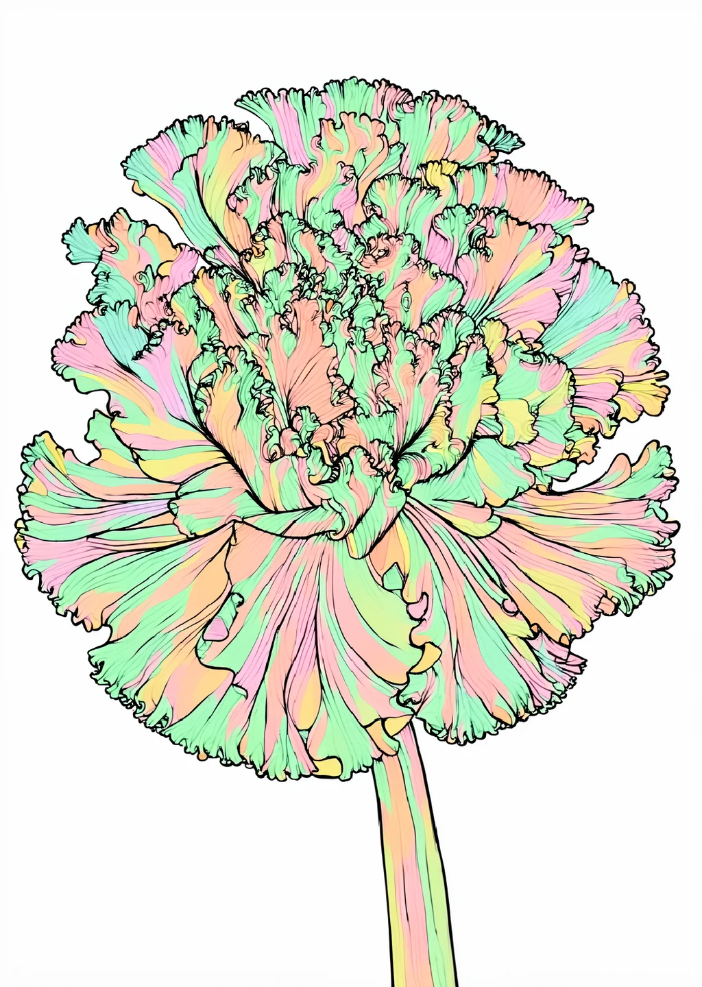 カーネーションの植物画（大人向け）の見本