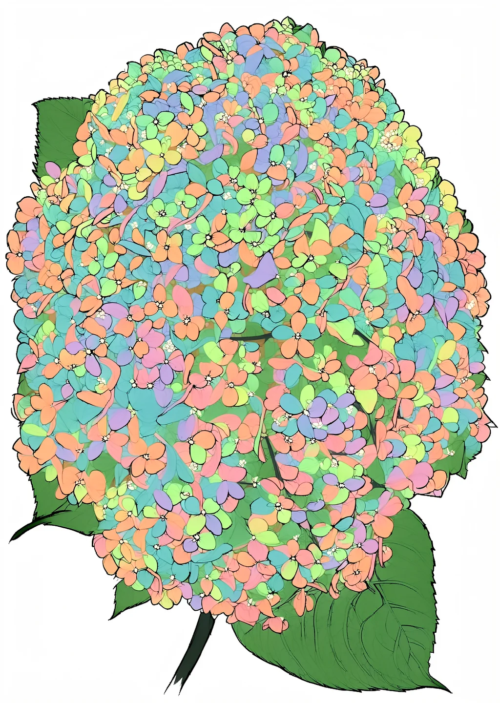 紫陽花の植物画（大人向け）の見本